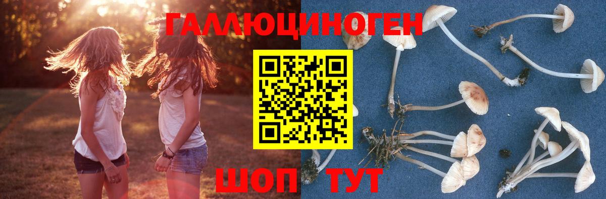 Чебаркуль  Псилоцибиновые грибы Psilocybe  Вход с VPN 