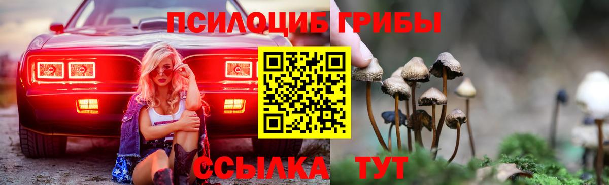Псилоцибиновые грибы Cubensis Чебаркуль